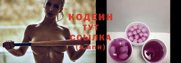 дмт Дмитриев