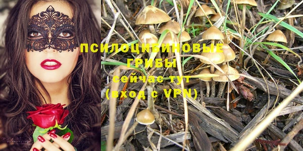 дмт Дмитриев