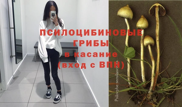 дмт Дмитриев