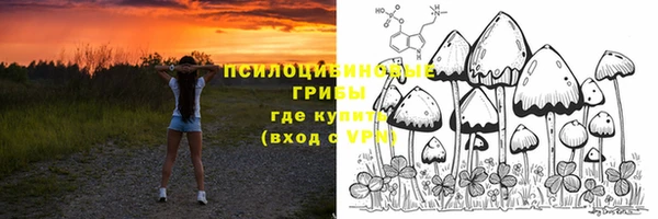дмт Дмитриев
