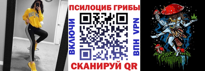 Псилоцибиновые грибы Psilocybe Димитровград